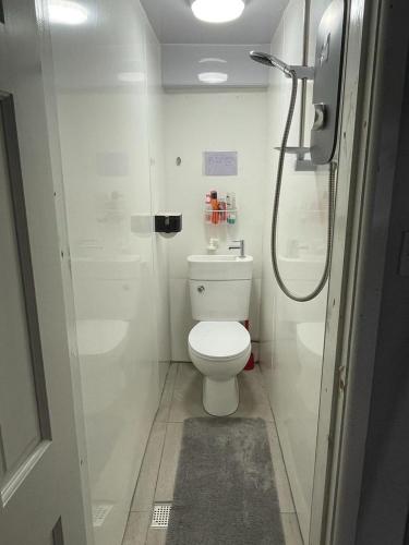 a small bathroom with a toilet and a shower at Homestay 1bedroom in family home with small wet room and own entrance in Great Barr