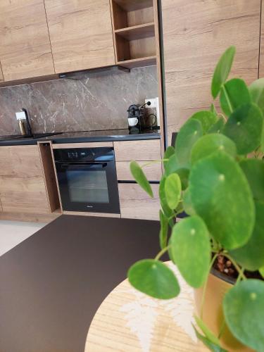 a kitchen with a stove and a potted plant at Beim Bergjosl in Kirchbach in Steiermark