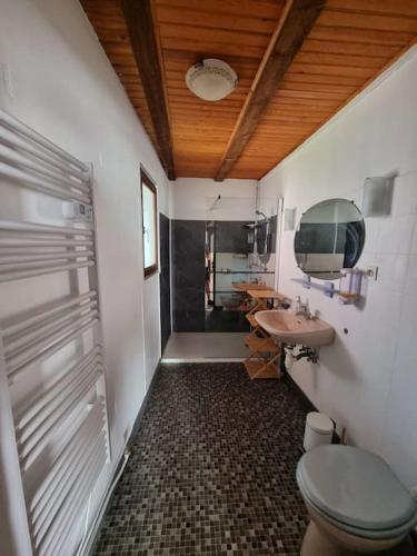 une salle de bain avec toilettes et lavabo dans l'établissement Maison Alsacienne au cœur du vignoble, à Kientzheim