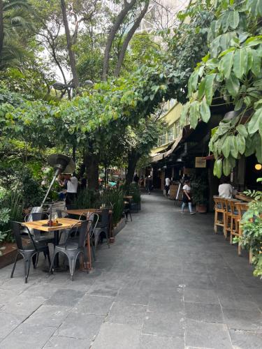 un patio al aire libre con mesas, sillas y árboles en Sinaloa 46, en Ciudad de México