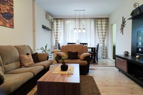ein Wohnzimmer mit einem Sofa und einem Tisch in der Unterkunft Astra M in Vračar (historical)