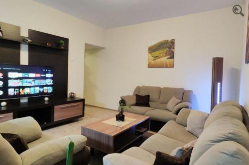 ein Wohnzimmer mit Sofas und einem Flachbild-TV in der Unterkunft Astra M in Vračar (historical)