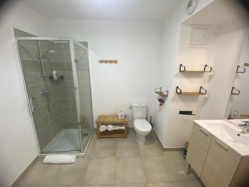 ein Bad mit einer Dusche, einem WC und einem Waschbecken in der Unterkunft Chez Candie in La Trinité