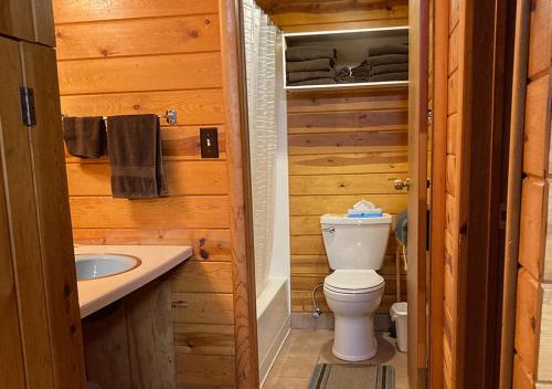 y baño con aseo y lavamanos. en Trailshead Lodge - Cabin 5, en Lead
