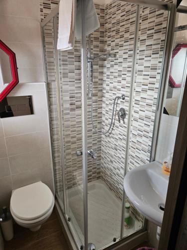 a bathroom with a shower and a toilet and a sink at Hotel Souvenir in Ercolano