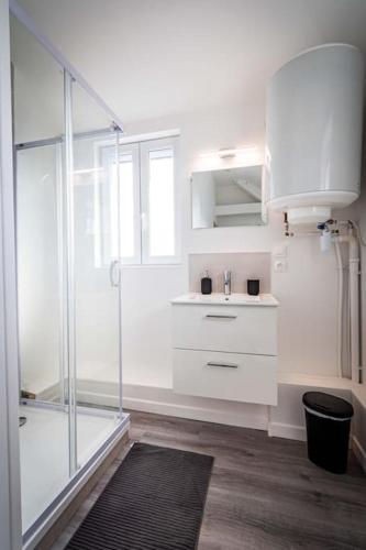 une salle de bain avec une douche en verre et un lavabo dans l'établissement L'Albatros 004 - Hypercentre * Cosy * Wifi, à Saint-Quentin