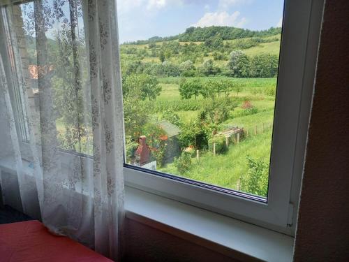 una ventana con vistas a un campo verde en Privatna kuca- Malina en Visoko