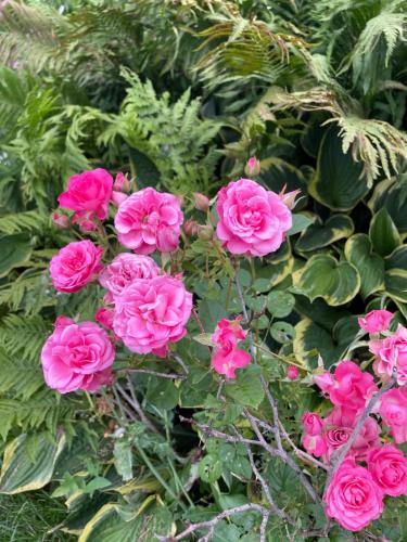 Prince County Guest House – Photos 5