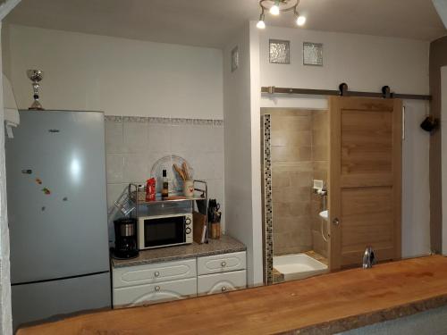 eine Küche mit einem Kühlschrank und einer Mikrowelle in der Unterkunft La Renaissance 50m2 - Indépendant & terrasse in Saint-Ambroix