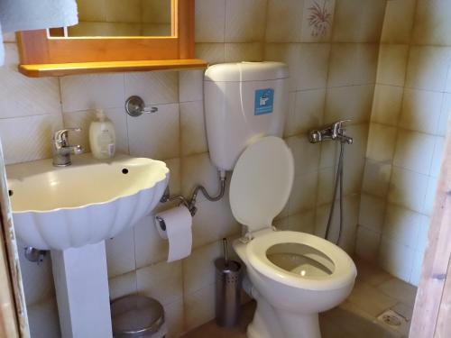uma casa de banho com um WC e um lavatório em Olive tree Cottages em Palaiochóra