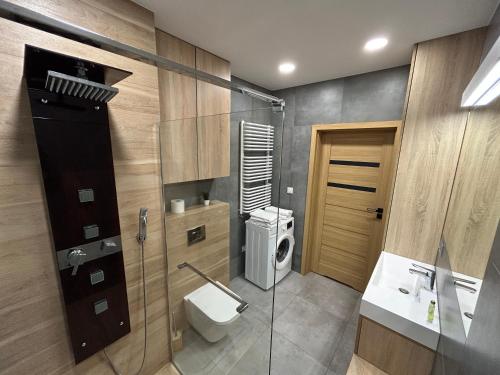 Apartament RED tesisinde bir banyo