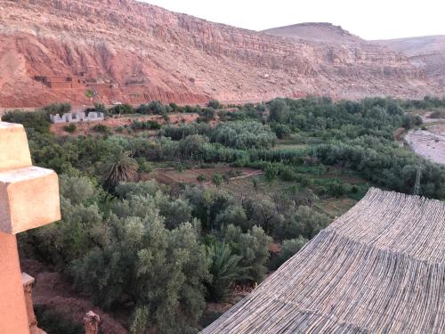 an aerial view of a field of trees and a mountain at ACHAHOUD CHEz LA BELLE FIBULLE in Aït Fars