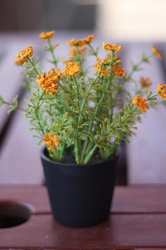 a black vase filled with orange flowers on a table at SPA-Apartment mit Sauna in Ulm-Böfingen in Ulm