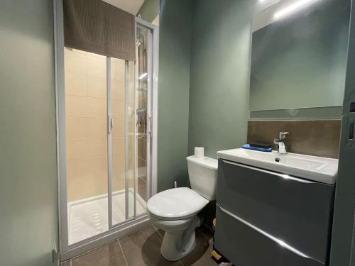 a bathroom with a toilet and a sink and a shower at T2 refait à neuf sur le thème oriental in Rodez