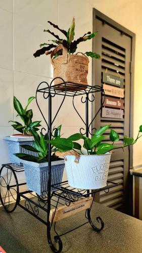 a plant stand with four plants on it at Melaka Relax Home - 6 pax - SeaView corner unit - 6 min to Historical Spot & Jonker in Melaka