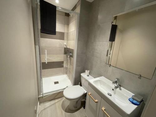 ein Bad mit einem WC, einem Waschbecken und einer Dusche in der Unterkunft T2 cœur de ville thème bohème in Rodez