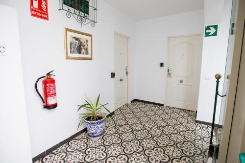 Apartamentos Doña Concha photo 209