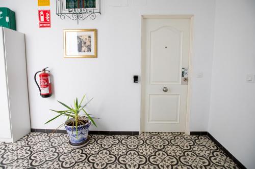 Apartamentos Doña Concha photo 276