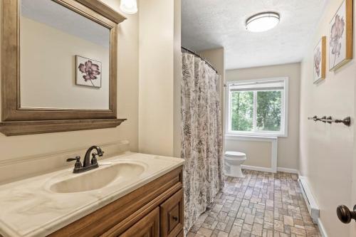a bathroom with a sink and a toilet and a window at Large Home Sleeps 24! Dogs Ok! in Lansing
