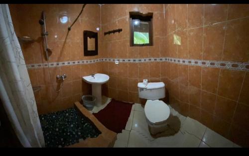 Opoa的住宿－CHEZ TAUA maison isolée pas de wifi ni bus，一间带卫生间和水槽的浴室