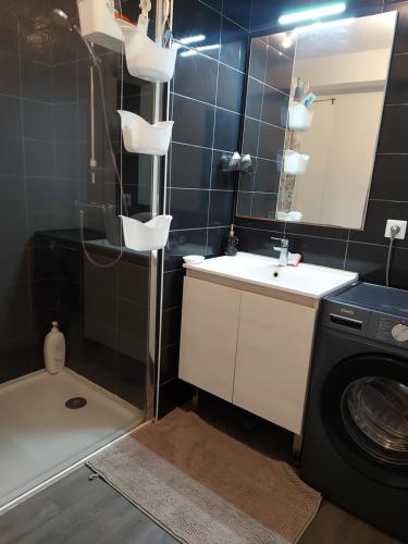 a bathroom with a sink and a washing machine at Appartement entier in Rennes