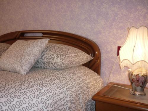 a bed with a nightstand with a lamp and a pillow at Casa Roberto - piano terra con giardino in Levico Terme