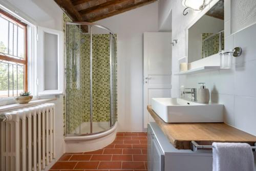 y baño con lavabo y ducha. en Agriturismo Terre della Rinascita, en Castelnuovo della Misericordia
