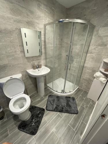 a bathroom with a shower and a toilet and a sink at Lumiere apartments 