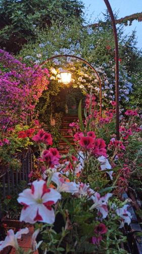 Κήπος έξω από το The Secret Garden Maratea - Casa di Elena