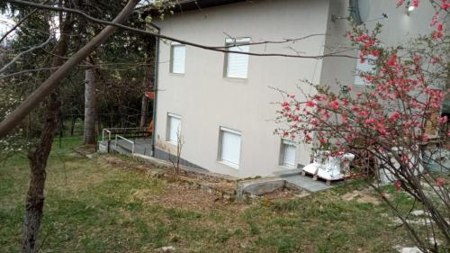 a white house with a flowering tree in front of it at Bosnia GCC in Vinogradi