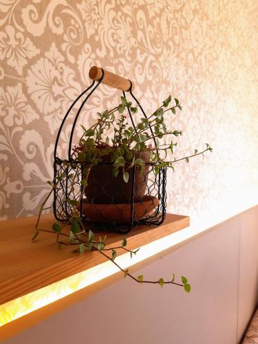 a plant in a basket sitting on a shelf at Moradia Compartilhada Pelotas in Pelotas