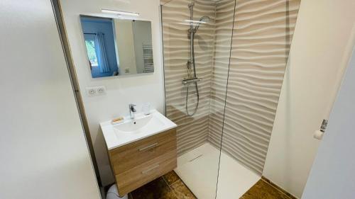 een badkamer met een wastafel en een douche bij Le bastidon - Fontvieille in Fontvieille