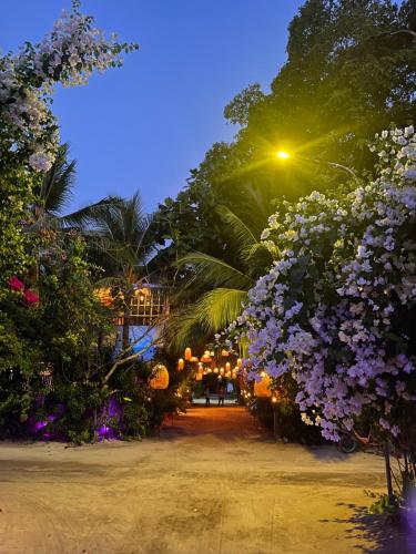 a street with lights and flowers at night at ODI KAMADHOO in Kamadhoo