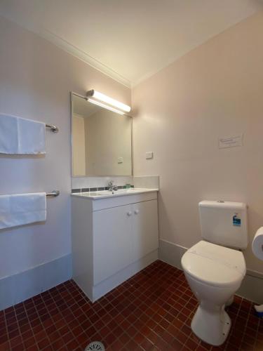 ein Badezimmer mit einem WC, einem Waschbecken und einem Spiegel in der Unterkunft Hunter Valley Travellers Rest Motel in Cessnock