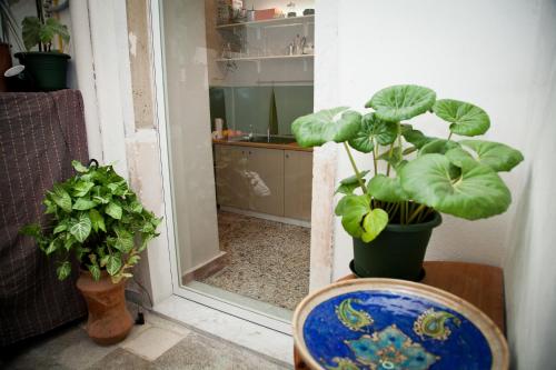 Gallery image of Alcalà Living B&B in Catania