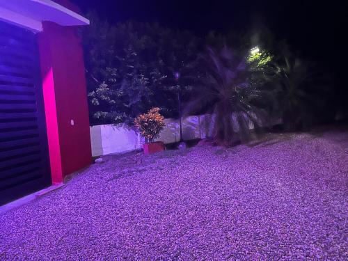 a yard covered in purple lights at night at Villa campestre Casa Blanca Full House in Agua de Dios