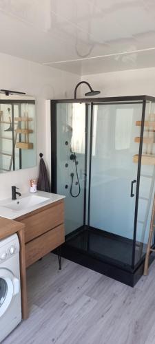ein Bad mit einer Dusche und einem Waschbecken in der Unterkunft Chez Malo 