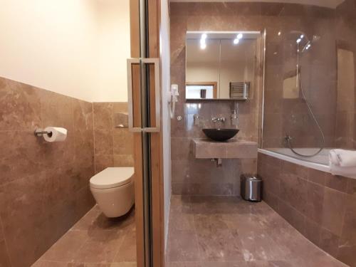 a bathroom with a sink and a toilet and a shower at Residence Mariánská in České Budějovice