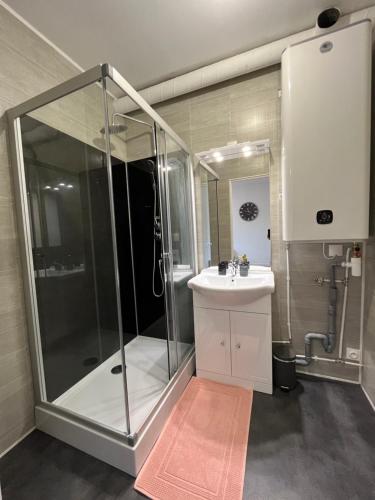 a bathroom with a shower and a sink at Appartement centre-ville de Lure gauche in Lure