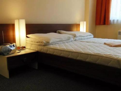 a bedroom with a bed and a table with a tv at Rekreačné zariadenie Crocus in Vysoké Tatry