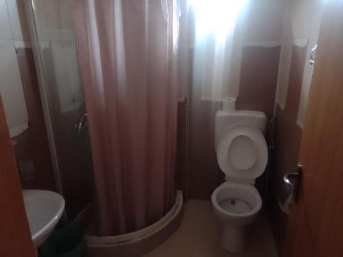 małą łazienkę z toaletą i umywalką w obiekcie Vila Popoiu w mieście Costinesti