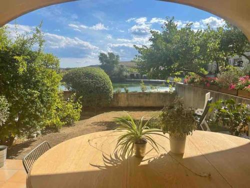 une table avec des plantes en pot sur une terrasse dans l'établissement Vue lac avec accès piscine à vague, à Mallemort