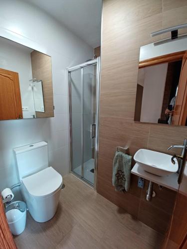 a bathroom with a toilet and a sink at Bonita casa en pueblo pictórico, Ideal para familias, grupos y Buceadores in Cabo de Palos