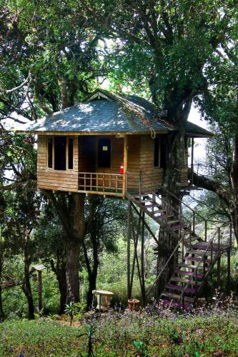 a tree house with a staircase leading up to it at Nature Zone Jungle Resort in Munnar