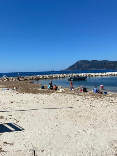 un groupe de personnes sur une plage près de l'eau dans l'établissement Studio tout confort 100m plage, à Saint-Mandrier-sur-Mer