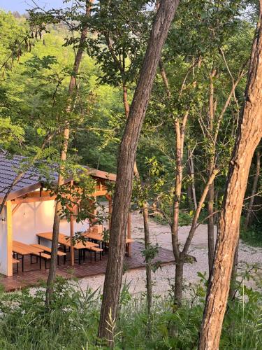 Příroda nedaleko prázdninového domu