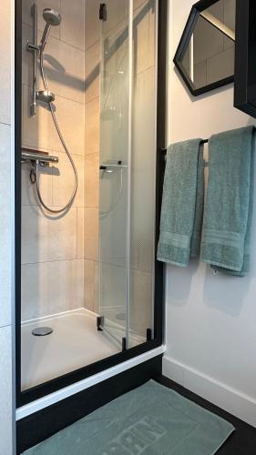 une douche avec une porte vitrée dans une salle de bain dans l'établissement Happy Studio terrace, à Schiltigheim