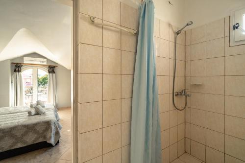 a bathroom with a shower and a bed in a room at Zoi Studios in Lixouri