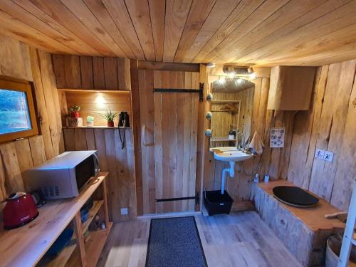 een houten kamer met een wastafel en een wastafel bij Cabane en bois sur l'étang in Landisacq