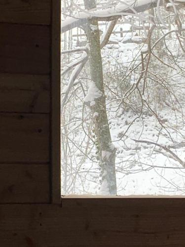a window view of a tree in the snow at Casa Turchina in Vernante